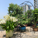 Metal Garden Arch for Climbing Plants