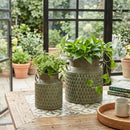 S/2 Iron Milk Jug Planters with Textured Green Finish by HouseOfZazla