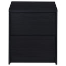 Westpark 2-drawer Nightstand LED Lights and USB Black