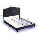 Queen Upholstered Bed Button Tufted with Curve Design
