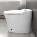 Smart Toilet with Built-in Heated Seat