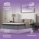 Isabella - 14" Hybrid Pillow Top Mattress by HouseOfZazla