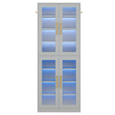 Bookcase With Doors And LED Lighting, 8 Adjustable Shelves Storage Cabinet by HouseOfZazla