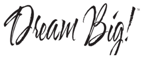 Dream Big Twin Pack Bed Pillows, photo 4 of 5
