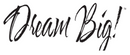Dream Big Twin Pack Bed Pillows