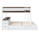 Bunk Bed With Twin Size Trundle, Storage And Desk by HouseOfZazla