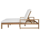 TREXM Outdoor Double Lounge Chair with 5-Position Adjustable Backrest
