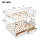 Bunk Bed With Drawers, Convertible Design by Unique Piece Furniture