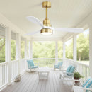 Indoor Ceiling Fan With Dimmable LED Light, 6 Speed Remote ControlLED DC Motor, Reversible Blades by Unique Piece Furniture