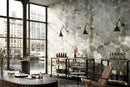Deco Xl Green Ginkgo Look Porcelain Tiles 24x48
