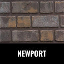 Napoleon Oakville 3 Glass Direct Vent Electronic Ignition Natural Gas Fireplace Insert, 28" [GDIG3N] (SAK29675)