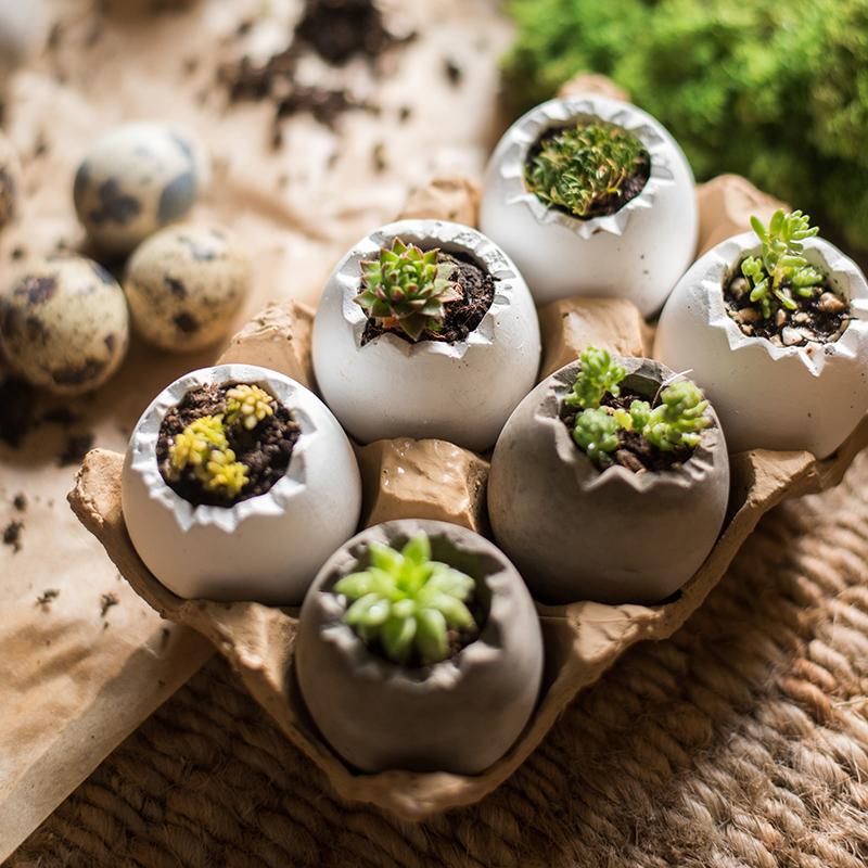 Decorative Eggshell Style Cement Planter