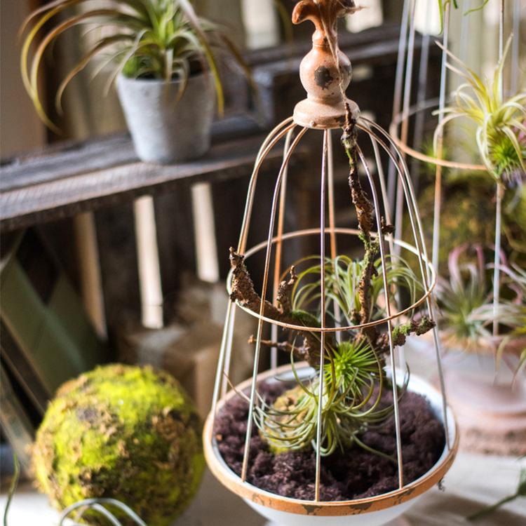 Decorative Iron Bird Cage