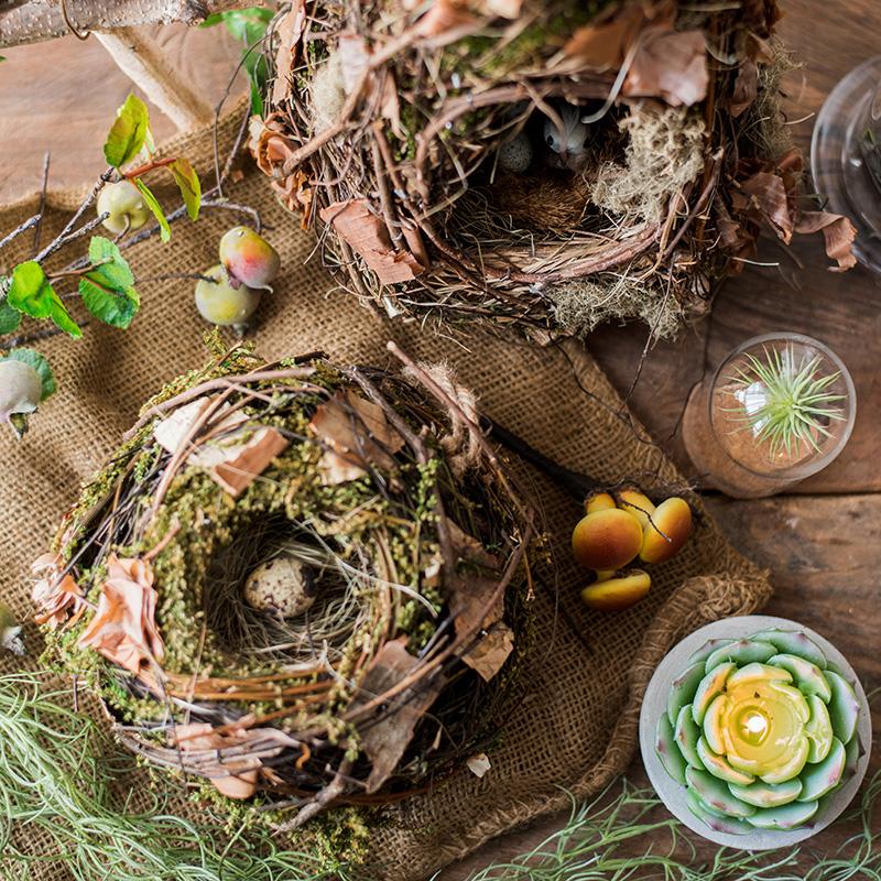 Decorative Natural Bird's Nest