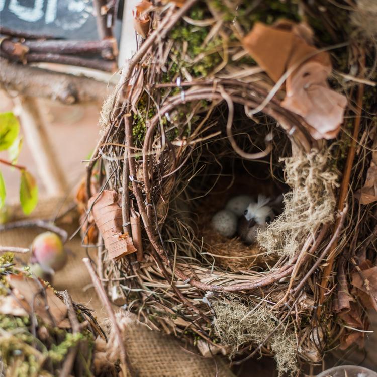 Decorative Natural Bird's Nest