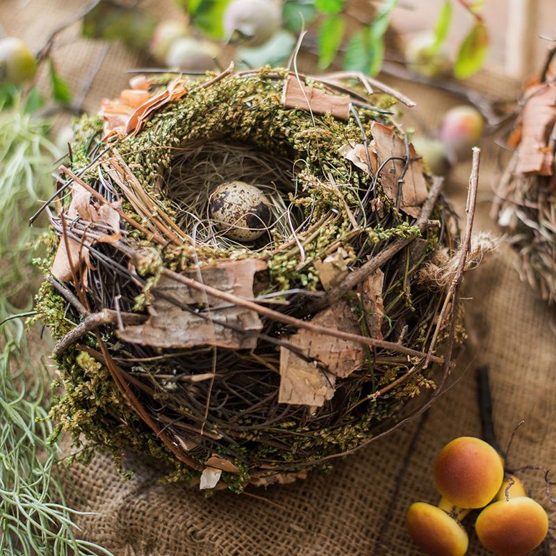 Decorative Natural Bird's Nest