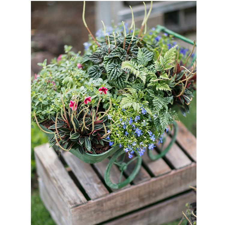 Decorative Planter Cart Green Metal Cart Planter