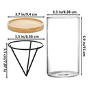 GobekUsa 3-Piece Clear Glass Hydroponic Avocado Planting Set