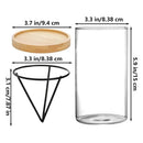 GobekUsa 3-Piece Clear Glass Hydroponic Avocado Planting Set