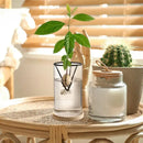 GobekUsa 3-Piece Clear Glass Hydroponic Avocado Planting Set