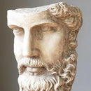 GobekUsa Abstract David Face Resin Sculpture for Home Decor