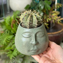 GobekUsa Abstract Face Ceramic Flowerpot Vase Ashtray Plant Home Decor Accessories