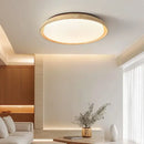 GobekUsa Acryl Travertine LED Ceiling Lights - Modern Natural Stone Ceiling Lamp