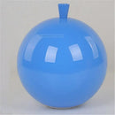 GobekUsa Acrylic Balloon Ceiling Lights: Modern Nordic Living Room Bedroom Lighting Fixture