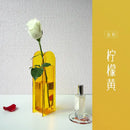 Contemporary rainbow acrylic flower vase living room floral container by Decorbites