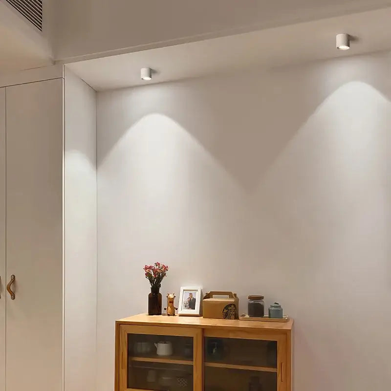 GobekUsa Aluminum Ceiling Lamp: Cylindrical Surface Mounted Downlight with Adjustable Beam Angle, photo 4 of 10