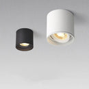 GobekUsa Aluminum Ceiling Lamp: Cylindrical Surface Mounted Downlight with Adjustable Beam Angle