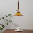 GobekUsa Amber Glass LED Pendant Light with Walnut Handle for Dining Living Room