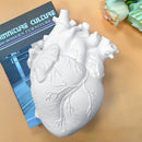 GobekUsa Anatomy Heart Vase - Unique Valentine's Day Gift