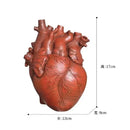 GobekUsa Anatomy Heart Vase - Unique Valentine's Day Gift