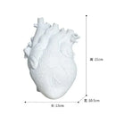 GobekUsa Anatomy Heart Vase - Unique Valentine's Day Gift