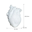 GobekUsa Anatomy Heart Vase - Unique Valentine's Day Gift