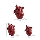 GobekUsa Anatomy Heart Vase - Unique Valentine's Day Gift