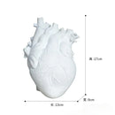 GobekUsa Anatomy Heart Vase - Unique Valentine's Day Gift