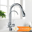 GobekUsa Antique Brass 2-in-1 Kitchen Faucet with Pull Out Nozzle and Purification