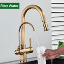 GobekUsa Antique Brass 2-in-1 Kitchen Faucet with Pull Out Nozzle and Purification