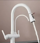 GobekUsa Antique Brass 2-in-1 Kitchen Faucet with Pull Out Nozzle and Purification