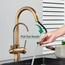 GobekUsa Antique Brass 2-in-1 Kitchen Faucet with Pull Out Nozzle and Purification