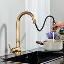 GobekUsa Antique Brass Kitchen Faucet with Pull Down Spout and Single Handle