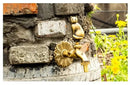 GobekUsa Antique Brass Wall Mount Garden Faucet for Kindergarden, Animal Design