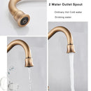 GobekUsa Antique Brass Water Filtration Kitchen Faucet, Lead-Free Drinking Sink Faucet