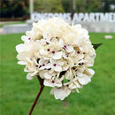 Vibrant assorted artificial hydrangea wedding flowers for living room by Decorbites