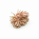 Pastel textured fake flowers living room christmas decor by Decorbites