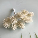 Colorful pom-pom artificial plants set of 6 wedding decor by Decorbites