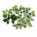 Realistic green leaf vine silk flowers wedding decor living room by Decorbites