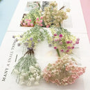 Pastel pink and lavender artificial succulent tree living room decor by Decorbites